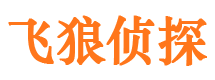 新野私家调查公司